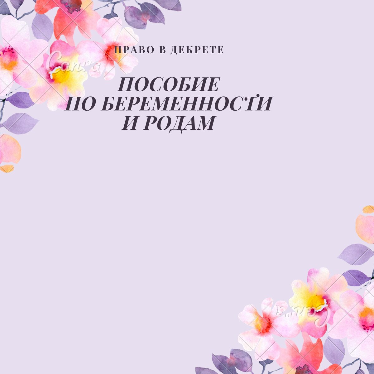 Всё про пособие по беременности и родам | Детские и семейные пособия в РФ |  Дзен