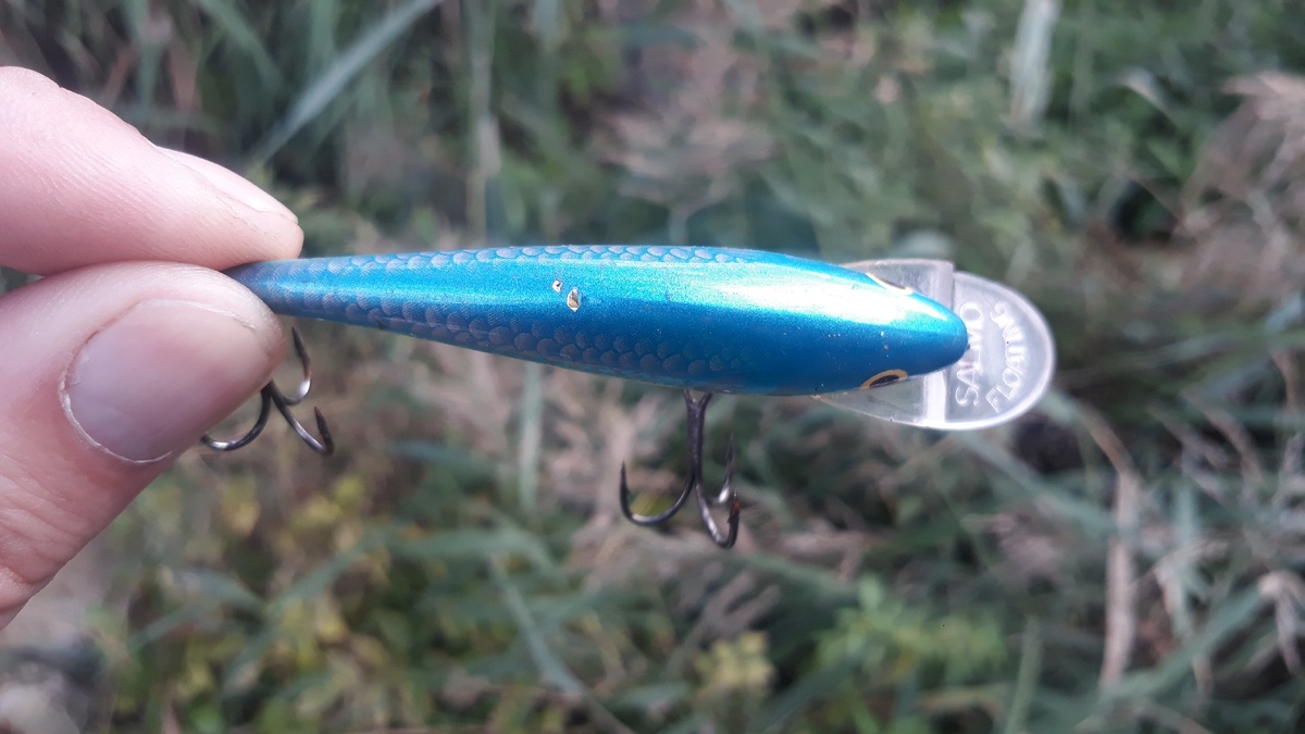 Воблер фирмы Salmo