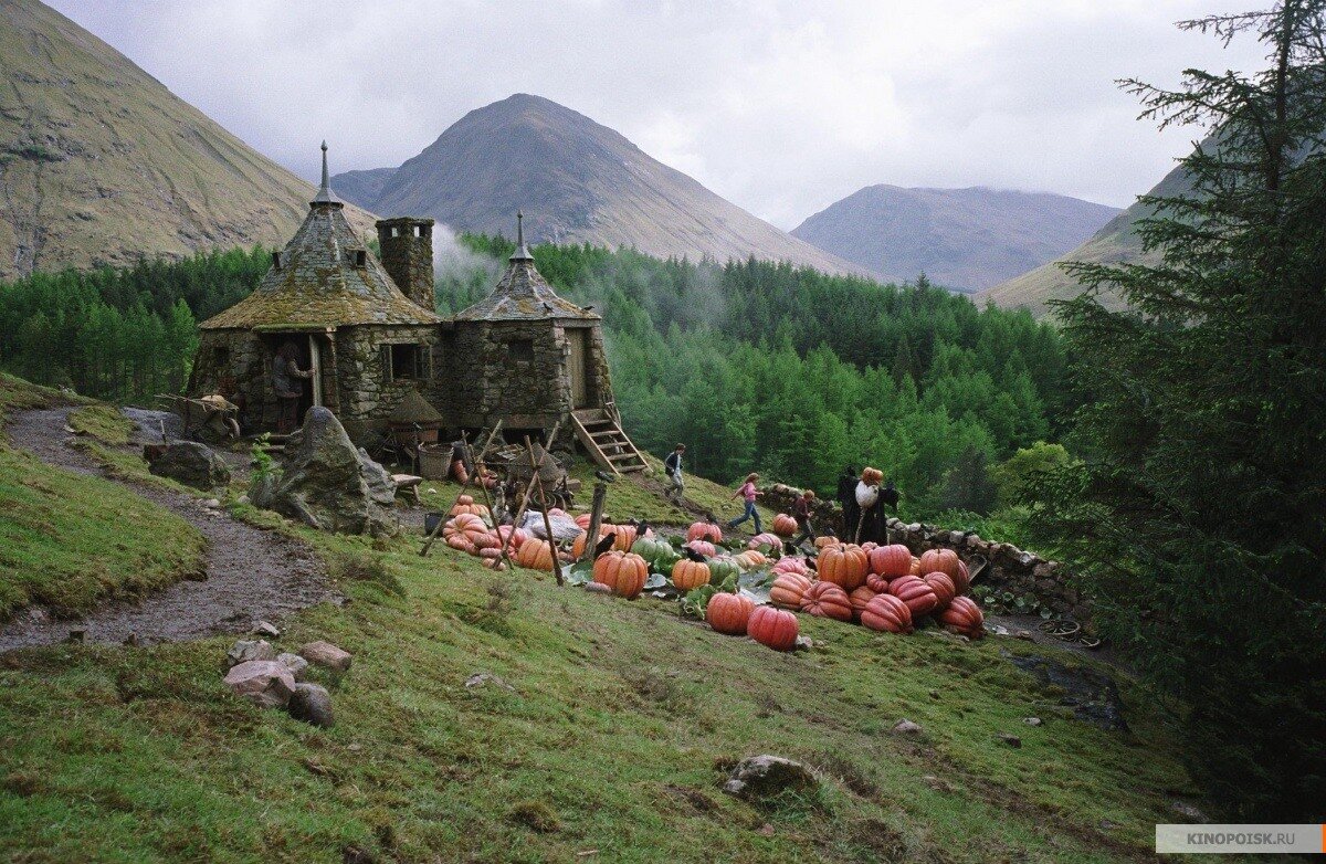 Огород Хагрида. Источник фото: Кинопоиск