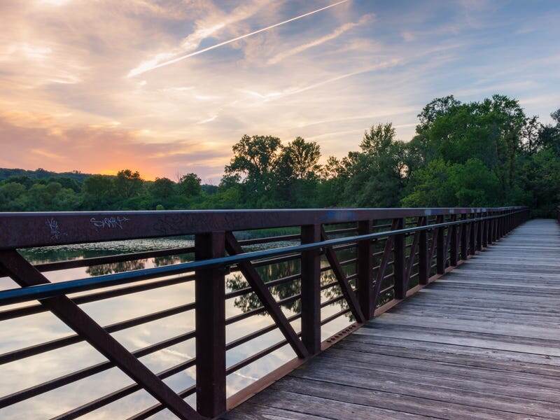 Фото: Mark Jones/EyeEm/Getty Images