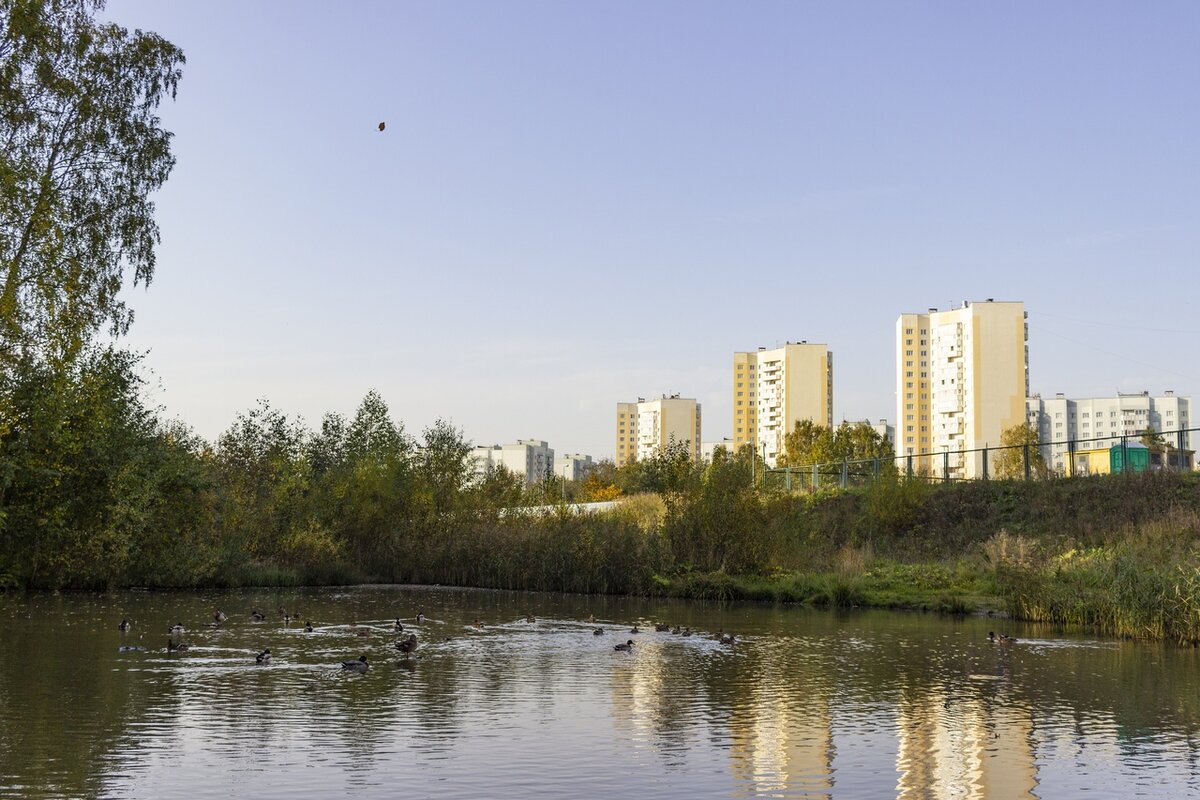 осиновая роща в санкт петербург