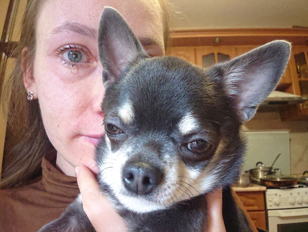 Майк весь фильм сидел у меня на коленках и тоже смотрел. А вы плачете, когда смотрите наподобие фильмы??? Признавайтесь)