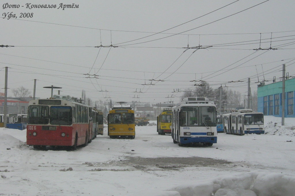 Фото: Артём Коновалов.