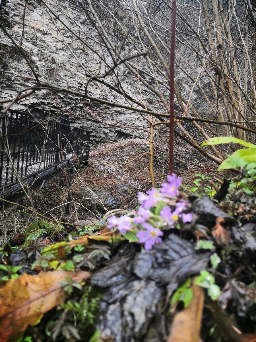 Нихалойские водопады