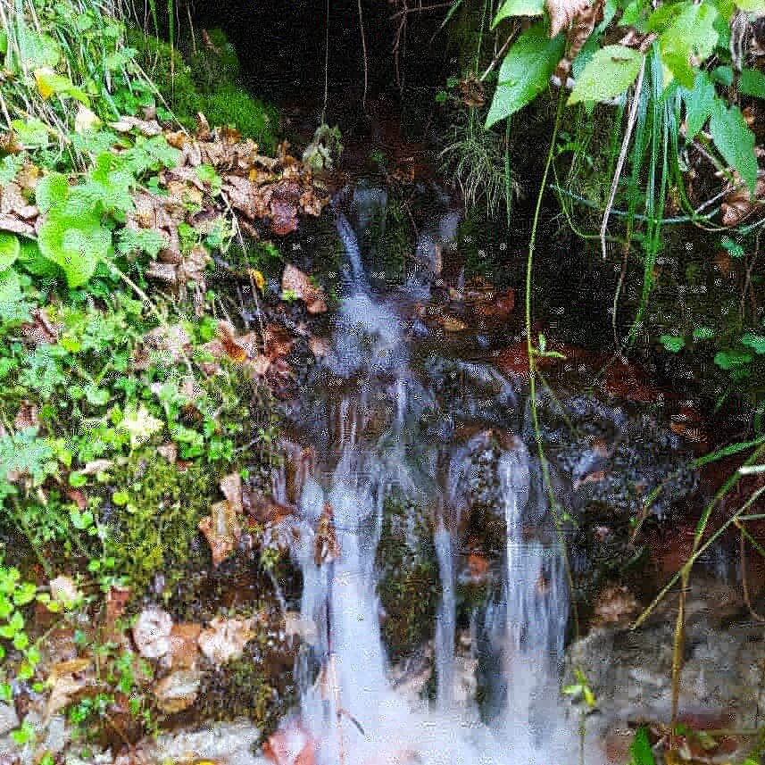 Родник картинки красивые