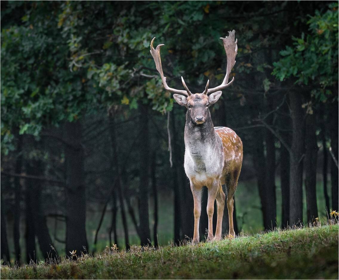 Фото с ресурса Pixabay