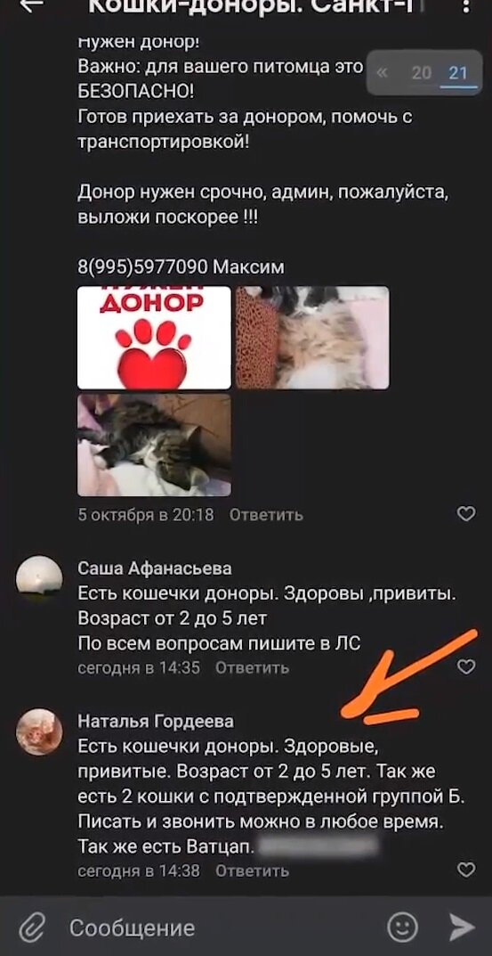В Петербурге объявились «чёрные доноры». Они продают кровь домашних  животных, доводя их до полусмерти | ЛенТВ24 | Дзен