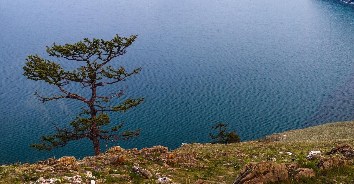 Заповедник Прибайкальский национальный парк