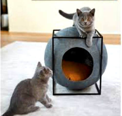 Мебель для кошек: виды и советы по выбору