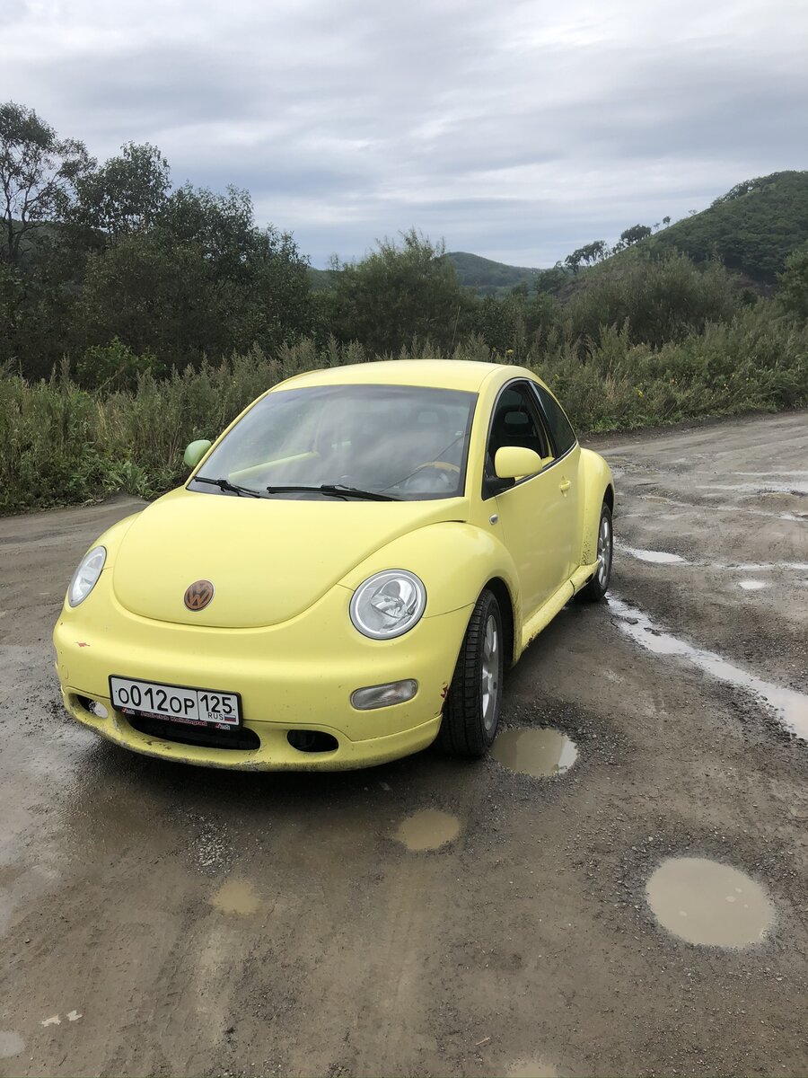Volkswagen New Beetle 1998год