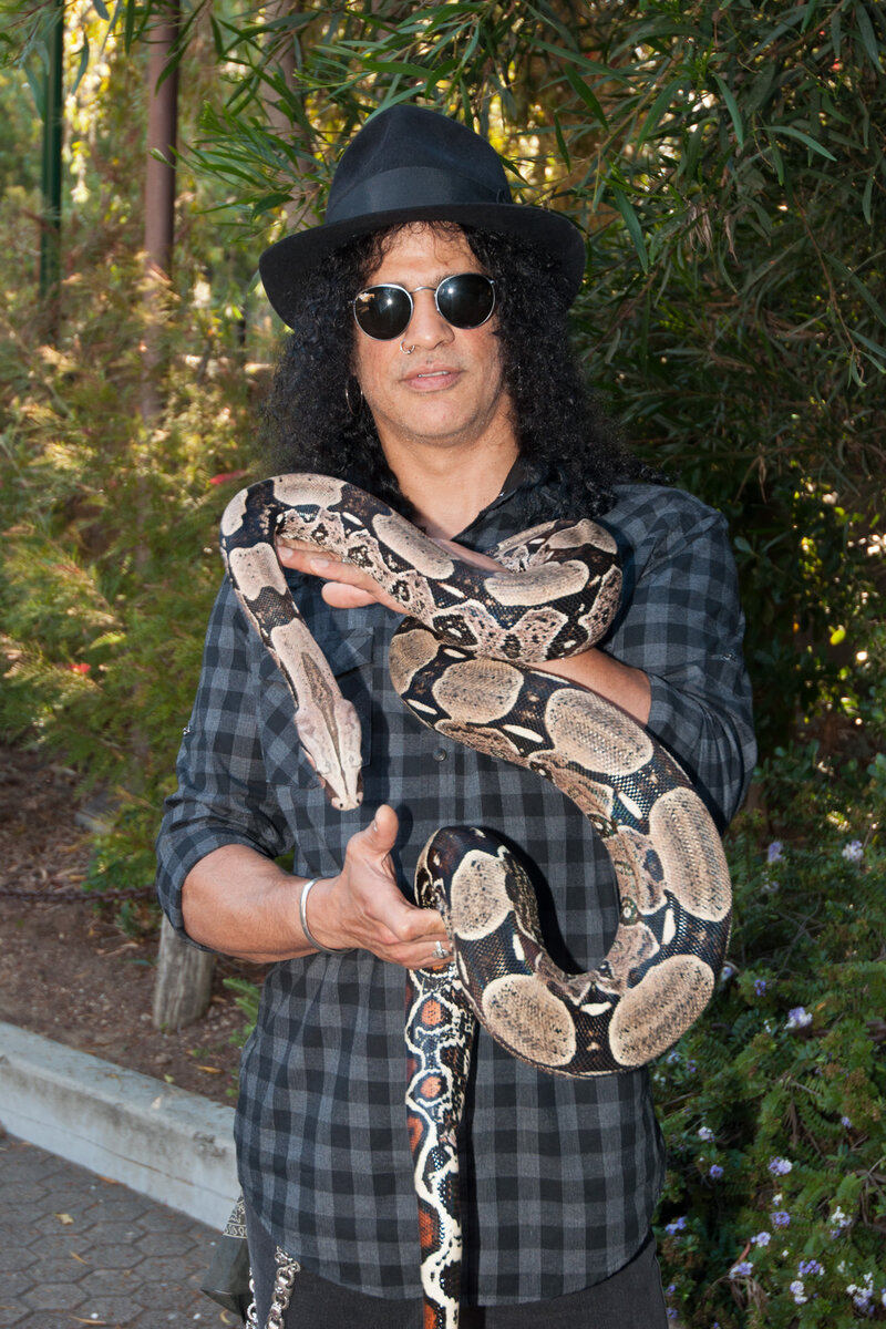 Фото из открытого источника "Яндекс картинки"