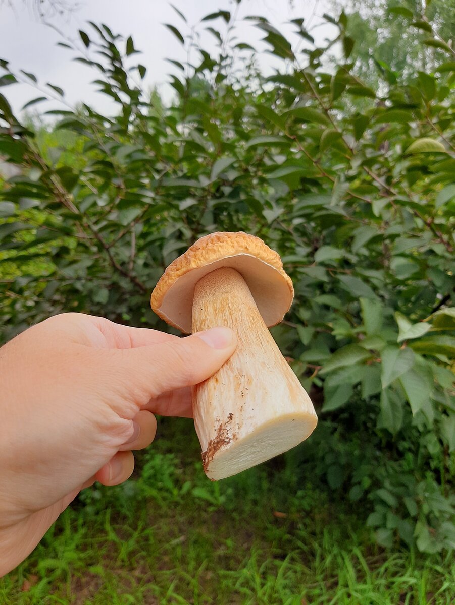 Фото автора статьи 