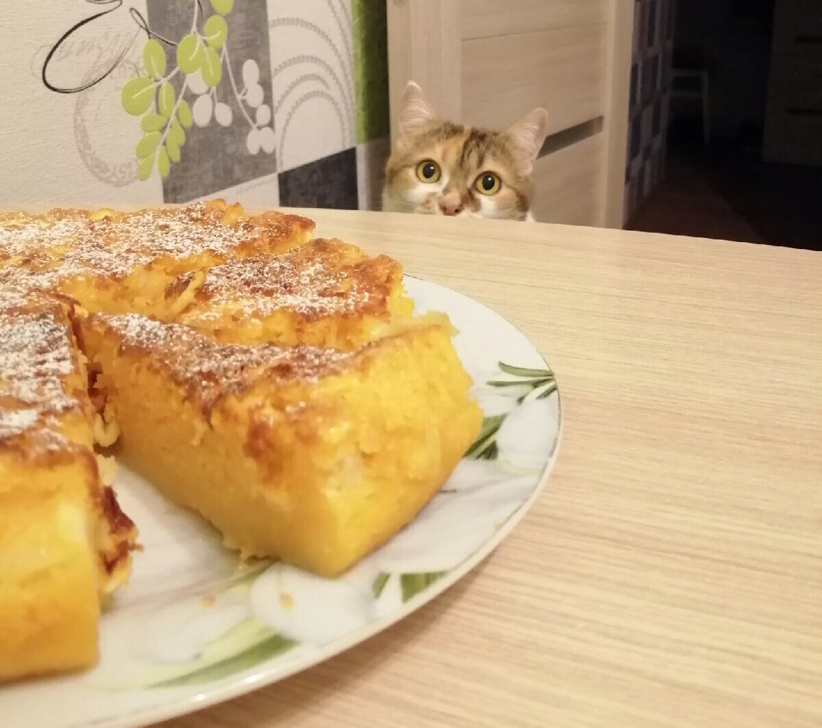 Кошка Милана за столом