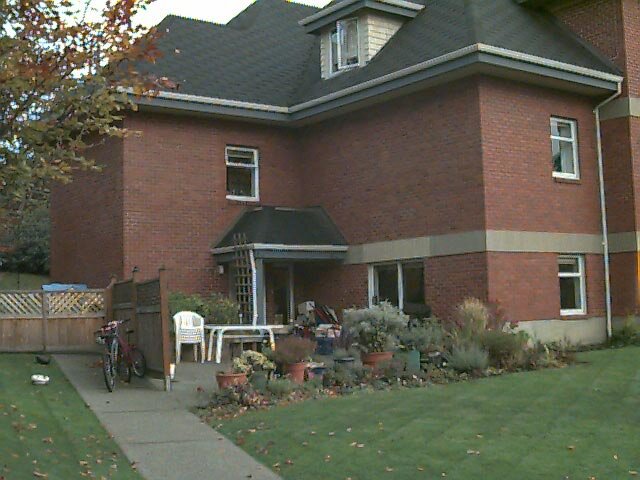 Примеры снимков на Apple QuickTake 100. Все изображения взяты с открытых источников