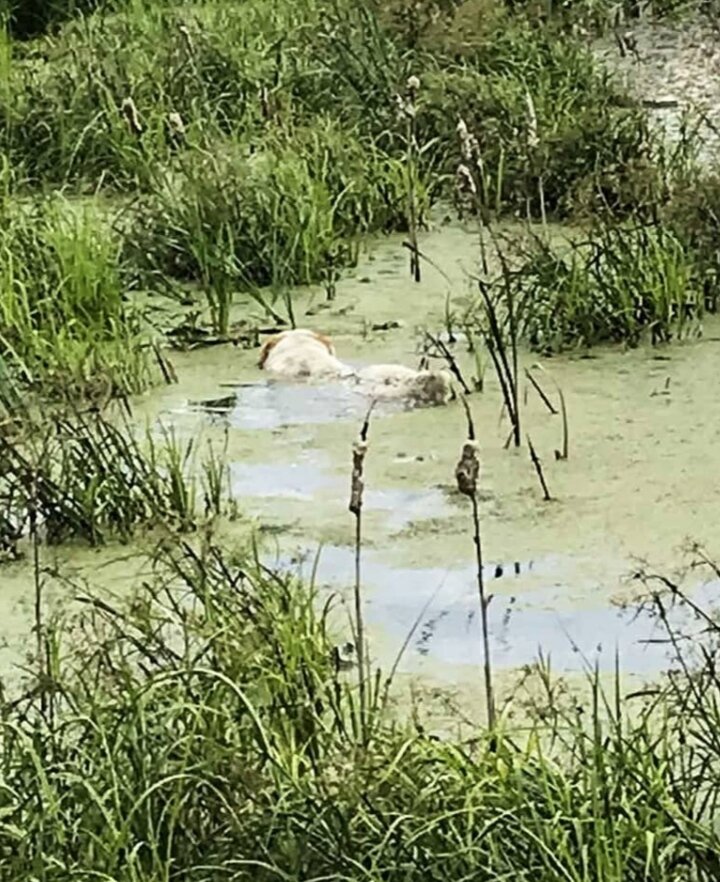 Фото с общего доступа яндекс