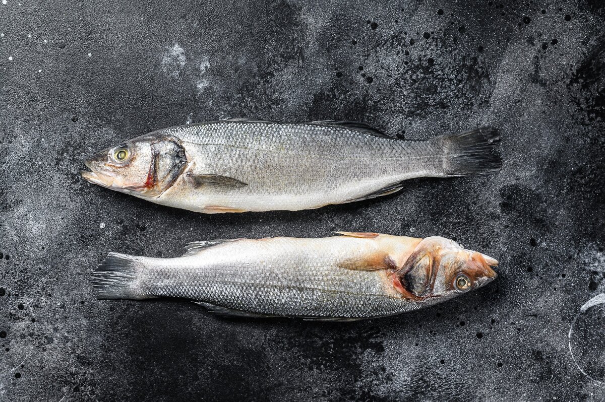 Что означает рыба в сновидении. | Сон и сновидения | Дзен