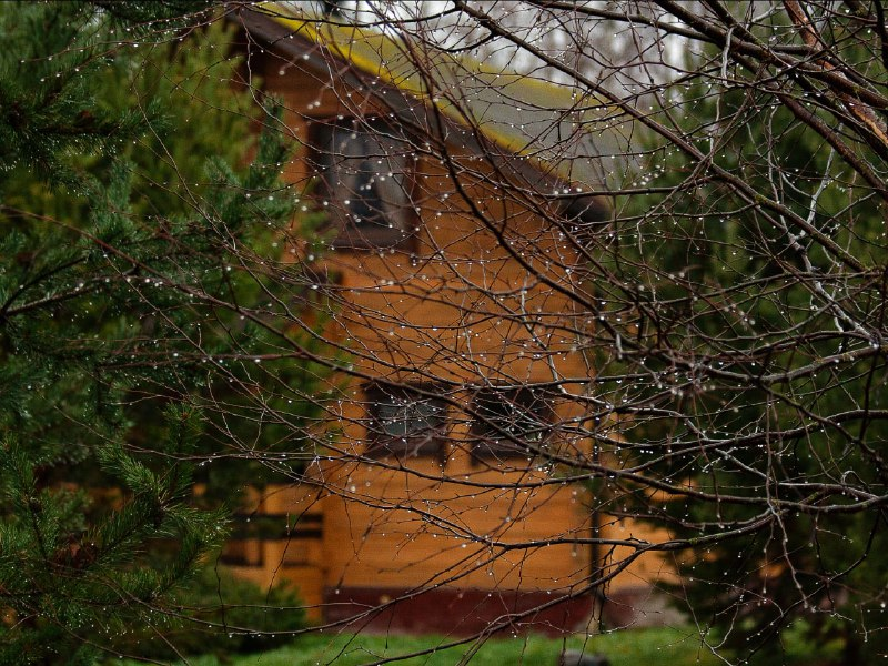 Вот такой декабрь 2020