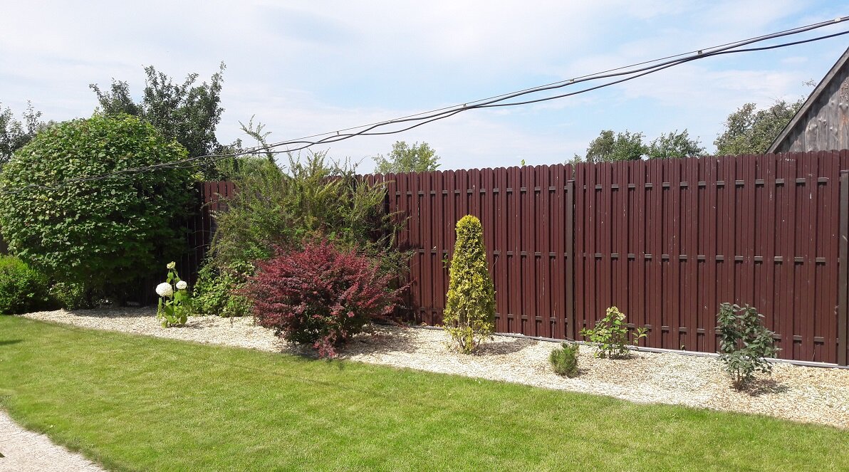 Свеже-Замульчированный участок возле забора между соседями. Со временем мульча потемнеет