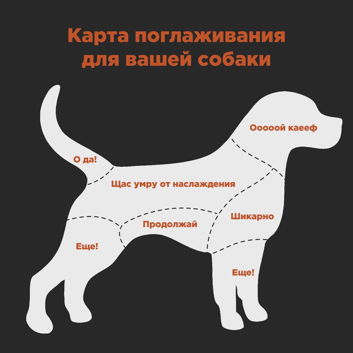 Где гладить животных. Где можно гладить собаку. как правильно гладить собаку. куда надо гладить собаку. где можно гладить собаку чтобы ей было приятно.