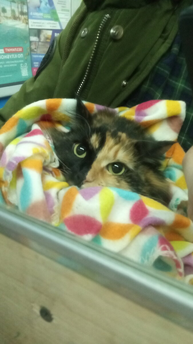 Я выберусь отсюда и всех покусаю!