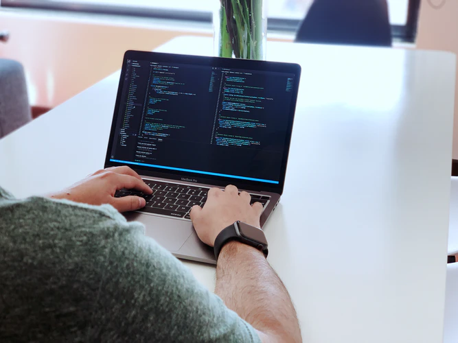 Изображение взято из открытых источников - unsplash.com