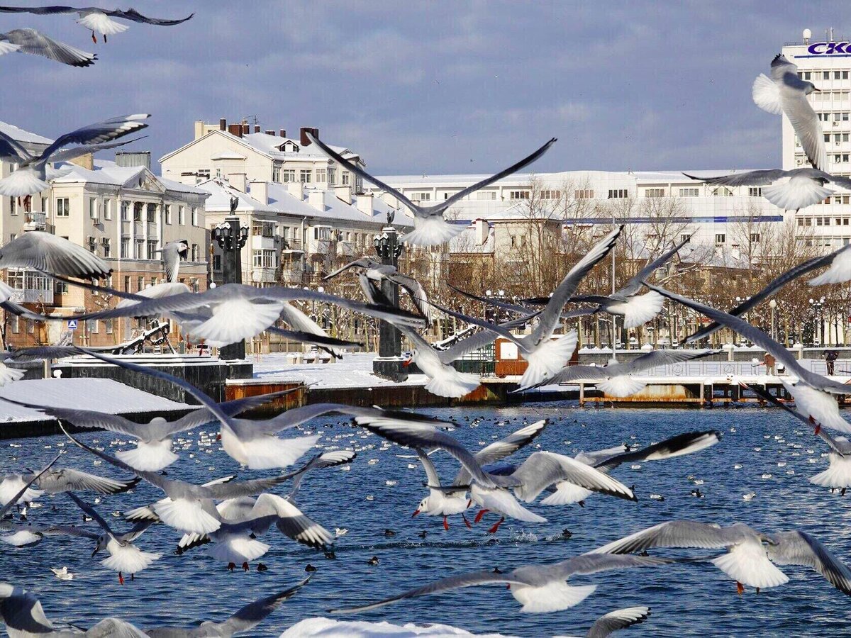 Новороссийск в январе. Новороссийск набережная Норд ОСТ. Норд ОСТ Новороссийск море зима. Новороссийск зима 2022. Набережная Новороссийск обледенела.