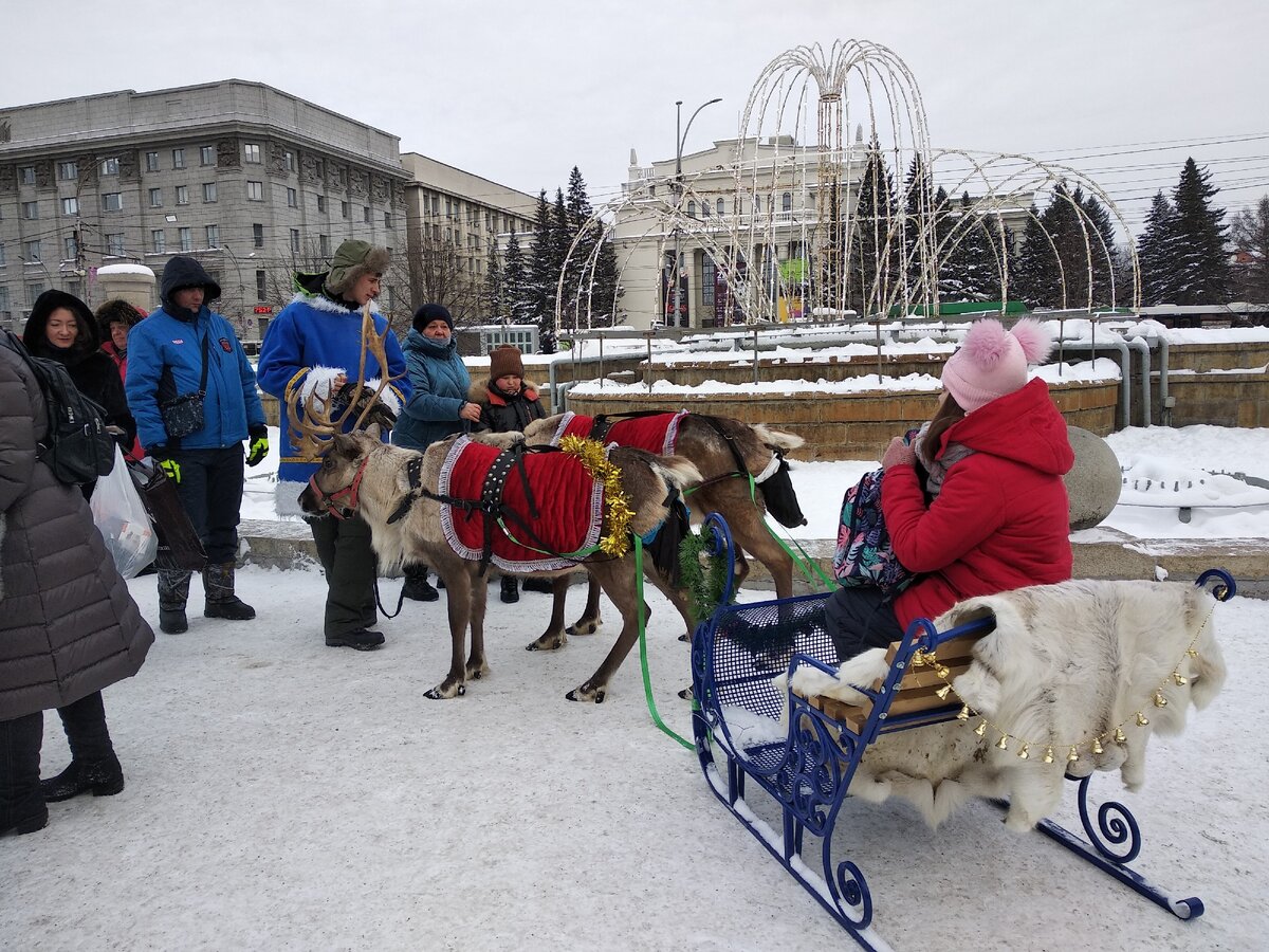 А олени лучше!