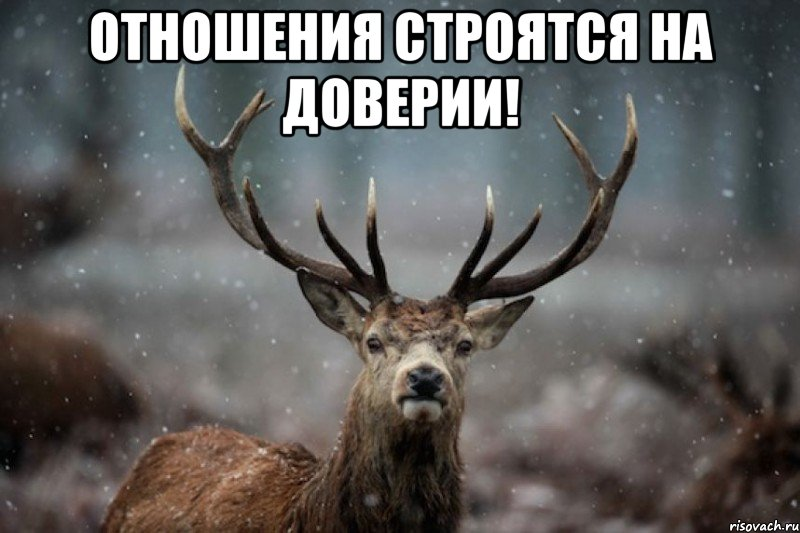 Яндекс.Картинки для иллюстрации нашего с вами доверия)