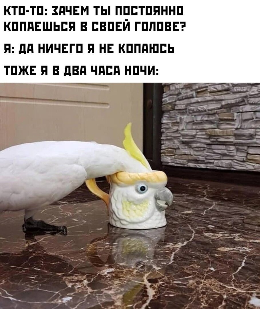 И не такое бывает 😄