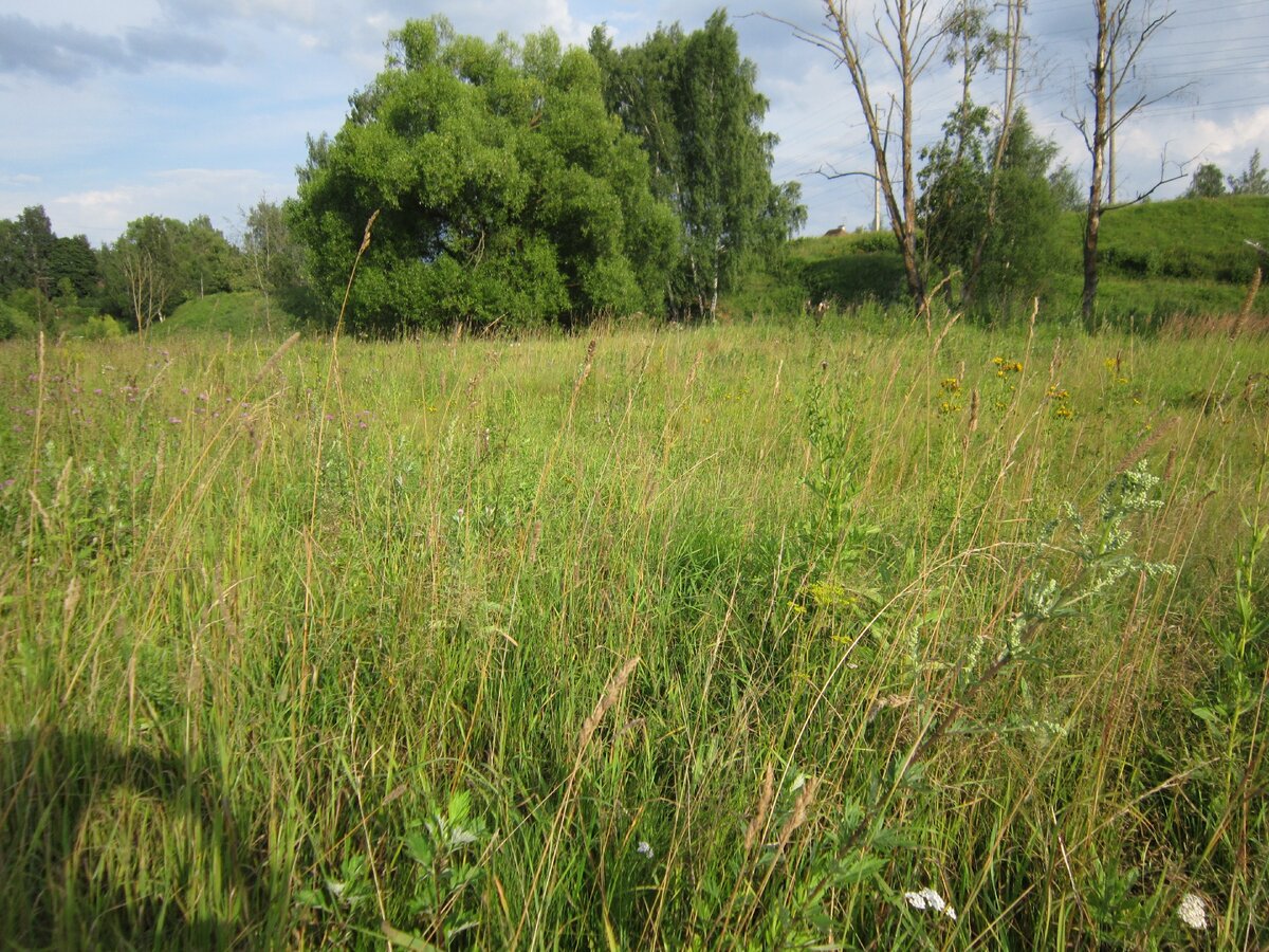 В моих мыслях начиналось всё так же мирно и красиво, как на этой фотке.