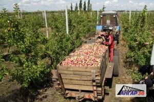 Урицкий район расположен на западе Орловской области, административный центр — пгт Нарышкино. Экономика района развивается в аграрном направлении, здесь расположены крестьянские хозяйства и сельхоз предприятия, занимающиеся выращиванием зерновых культур, сахарной свеклы и подсолнечника, также здесь выращивают овощи и фрукты (в тепличных комплексах). Животноводческий сектор представлен скотоводством мясо-молочного направления, птицеводством , свиноводством.