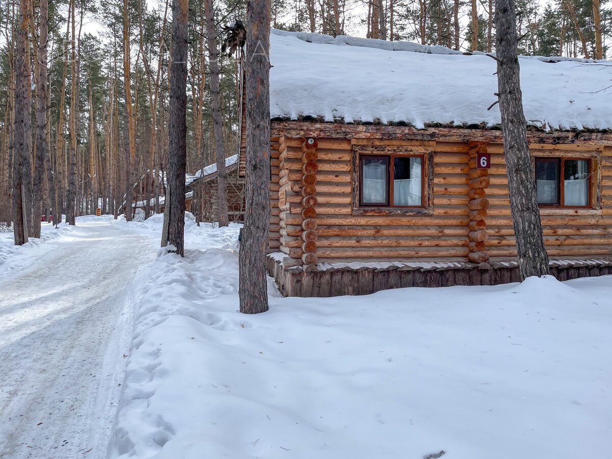 Деревянный дом в одном эко-отеле (недавно там отдыхали)