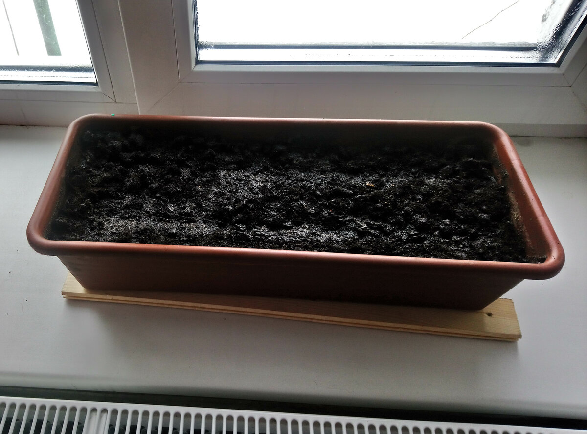 Ящичек поставила на подоконник