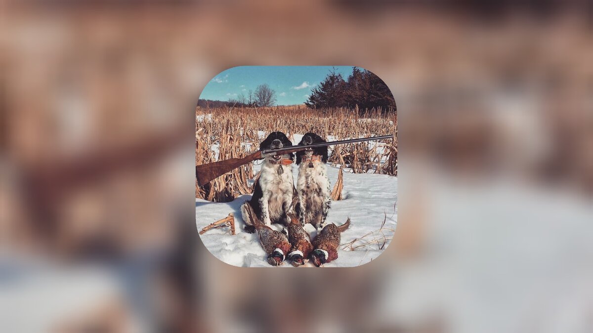 Картинка свободного доступа, автором Редактированная. 