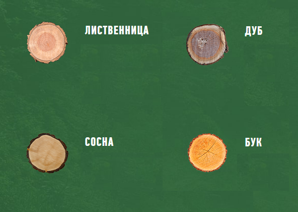 Виды древесины для окон