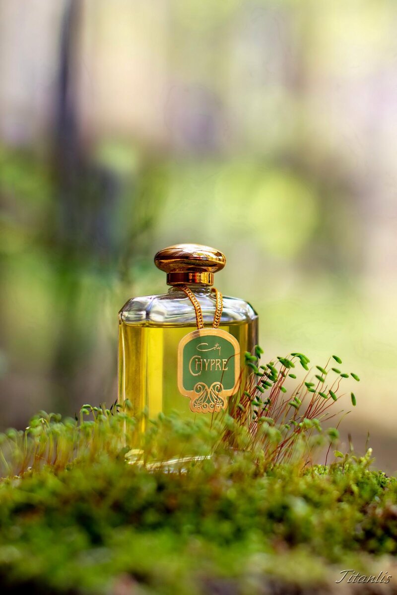 https://www.fragrantica.ru/fragram/user/1623/