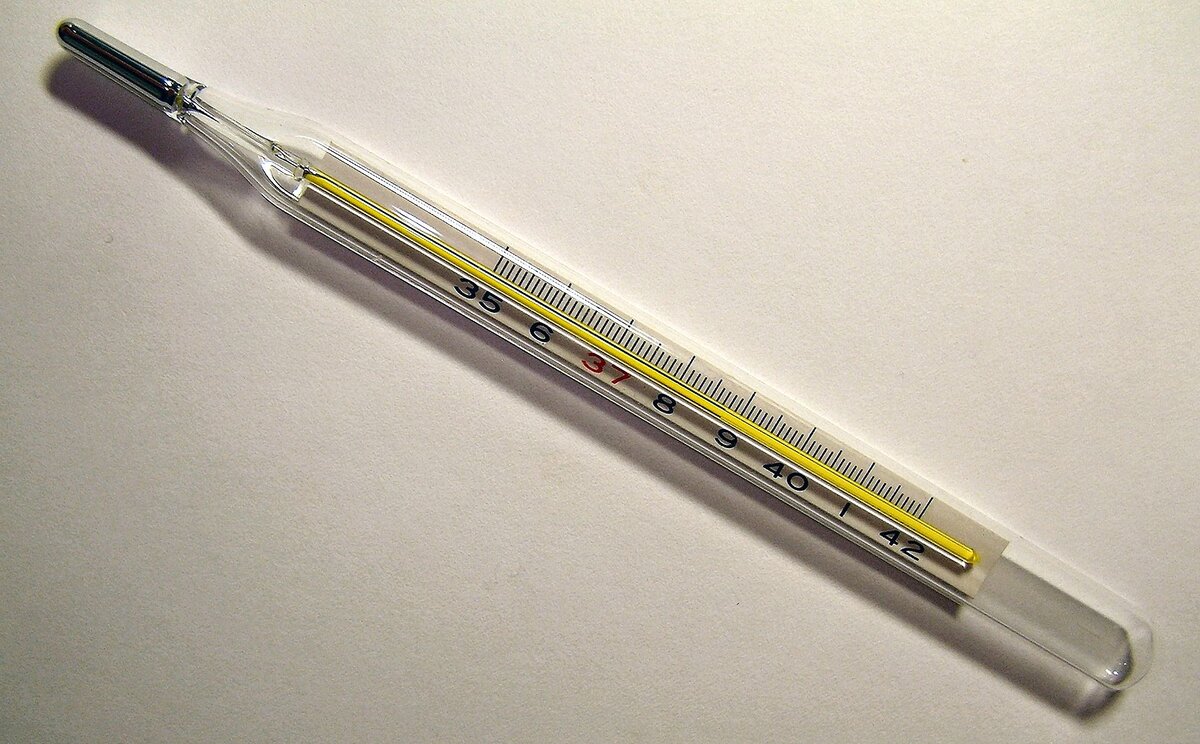 Термометр (Источник: https://commons.wikimedia.org/wiki/File:Clinical_thermometer_38.7.JPG Лицензия: This file is licensed under the Creative Commons Attribution-Share Alike 3.0 Unported license)