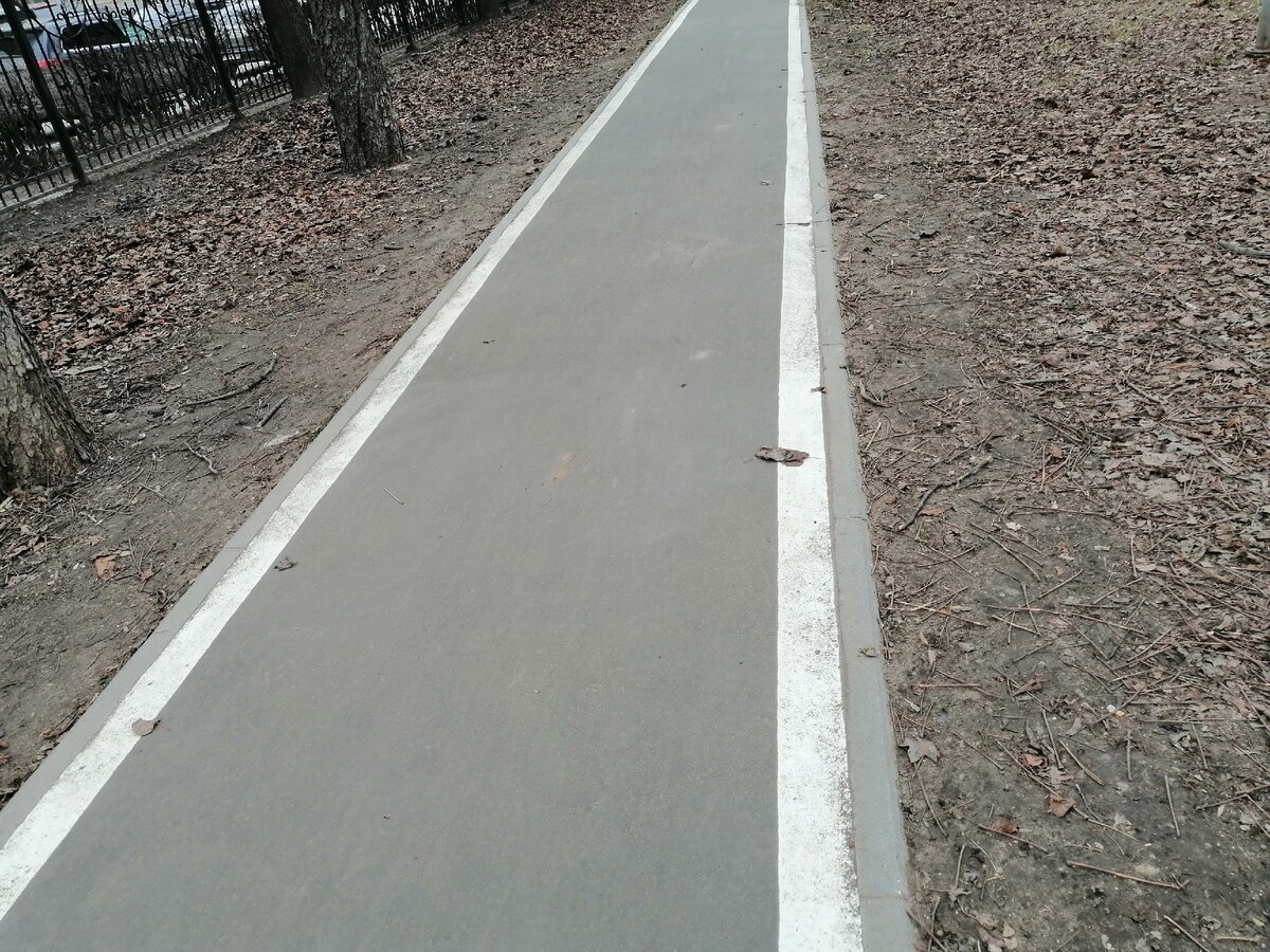 Велодорожка в парке