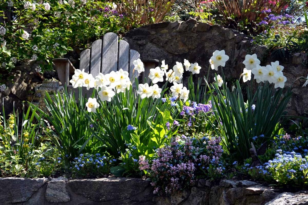 Фото взято из общего доступа