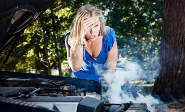 Фото Яндекс Картинки