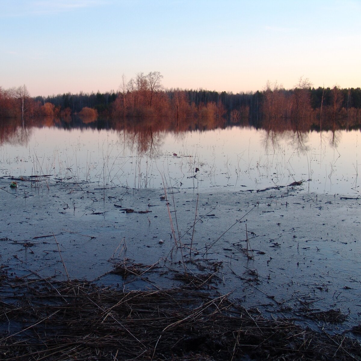 примерно такие просторные заливные луга (фото автора)