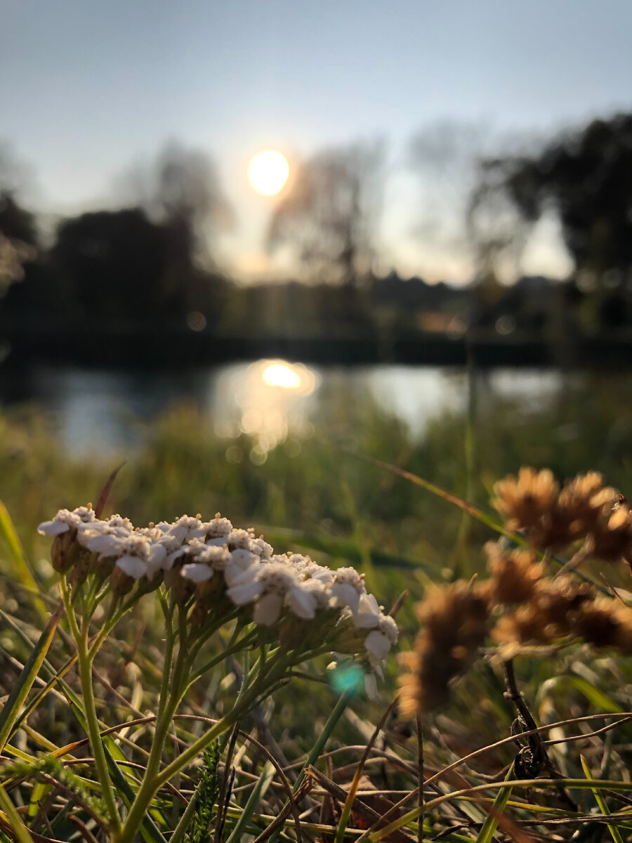 В этот лес заворожённый, по пушинкам серебра, я с винтовкой заряженной на охоту шёл вчера.