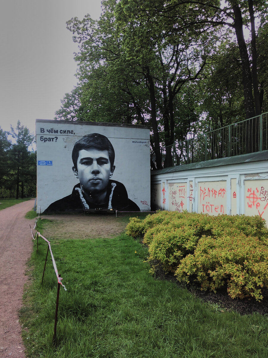 Фото  с моей личной страницы в ВК, 2018 г
