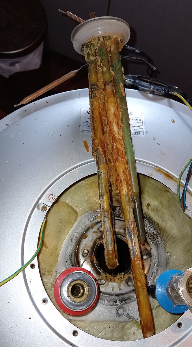 Только что вытащенный ТЭН.