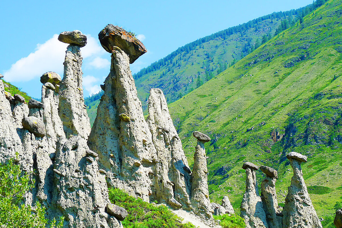 Фото из Яндекс картинок.