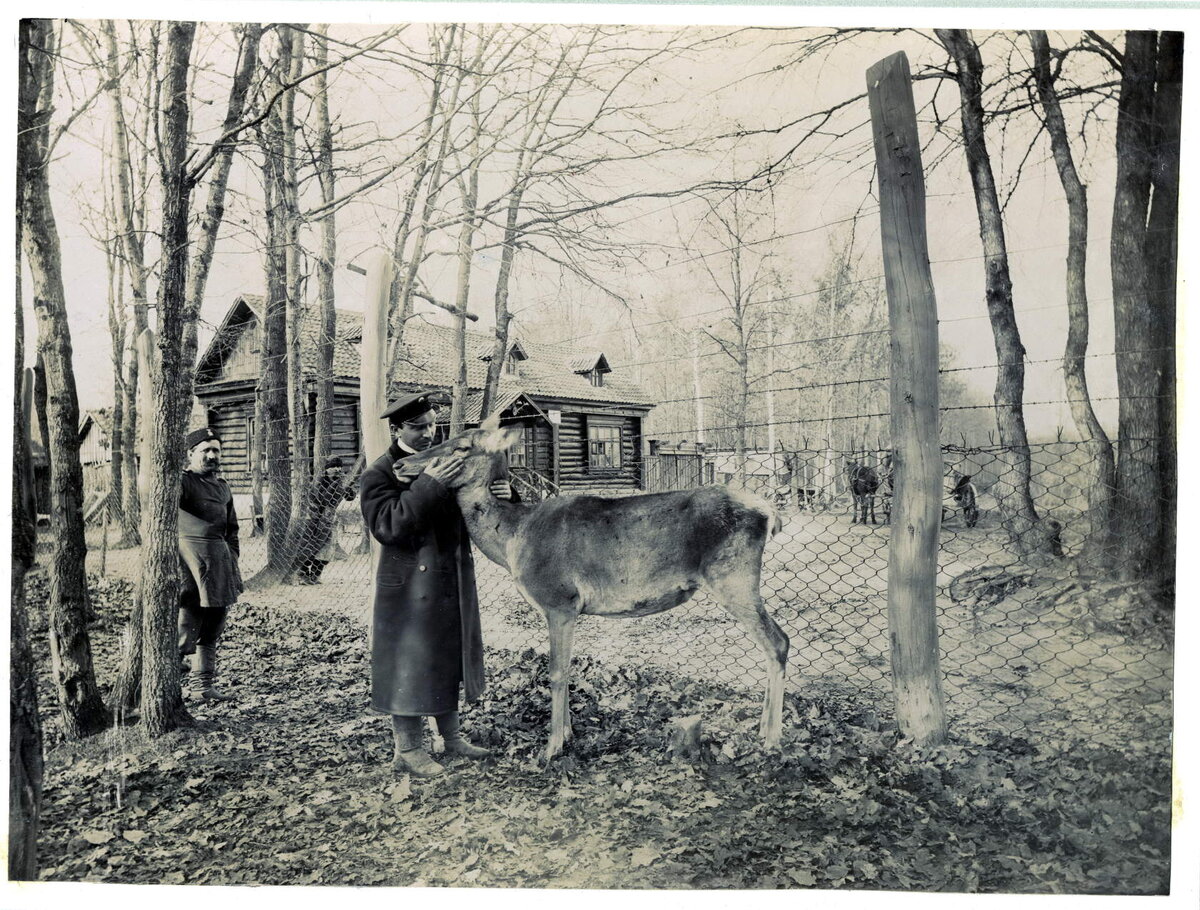 Архивное фото из интернета. Петр Александрович Ольденбургский на кордоне Зверинец. Позади виден охотничий домик, подробно о домике будут фото в статье ниже.
