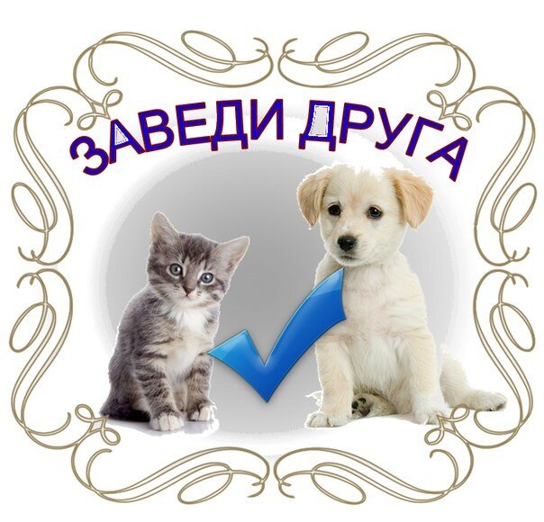 Фото взято с Яндекс картинки 