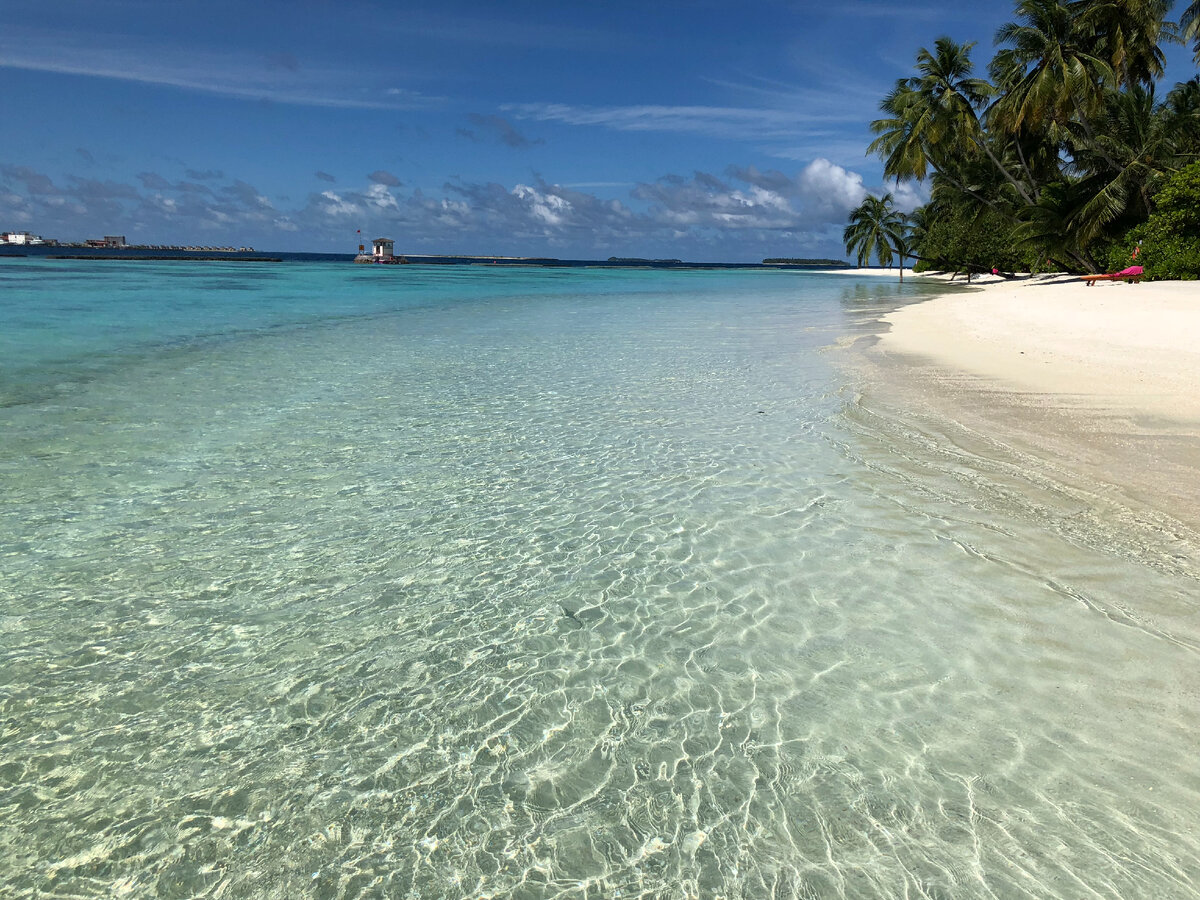 фото -  Tourism24. Мальдивы.