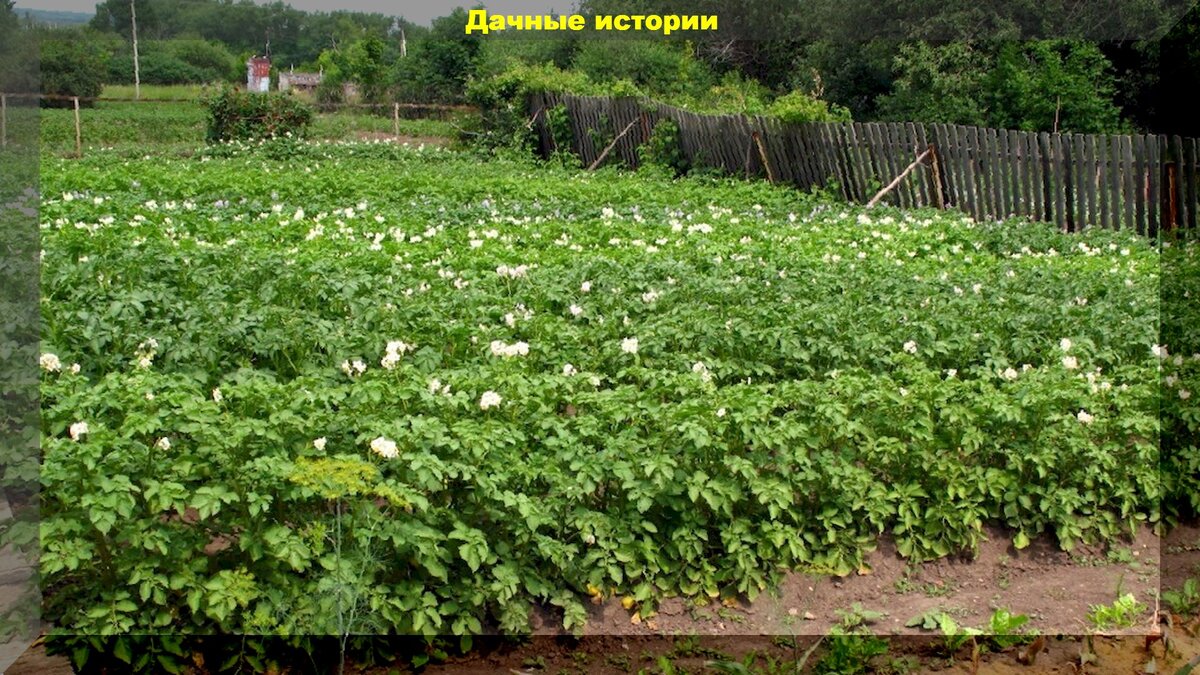 https://vk.com/photo-159774511_457248957