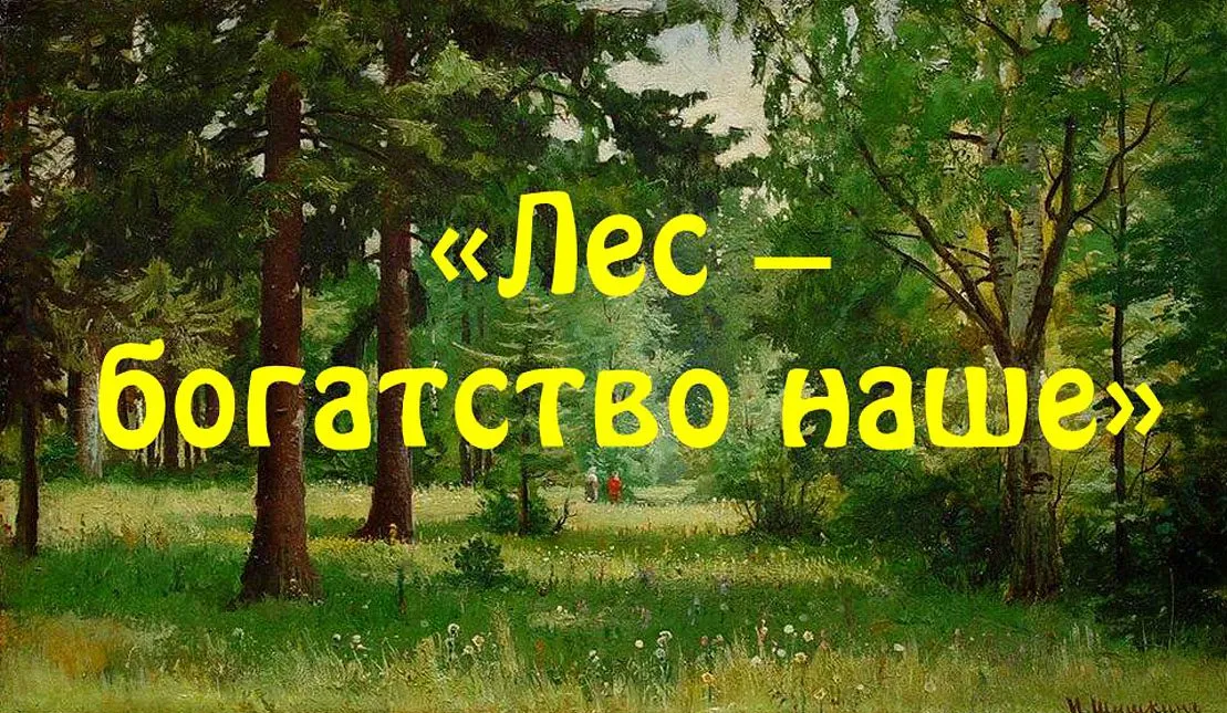 Лучшая пора наших лесов. Лес наше богатство. Тема лес наше богатство. Лес наше богатство для дошкольников. Надпись лес наше богатство.